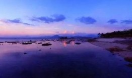 西岛最新官方爆料,最新爆料揭示神秘面纱下的真实世界