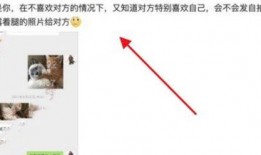 王思聪爆料记录最新消息,揭秘娱乐圈惊人内幕