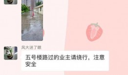 吉林社区爆料新闻最新版,聚焦民生热点，揭示社区动态